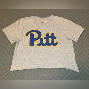 Cyansoft  Pitt crop top grey‎ short sleeve size small